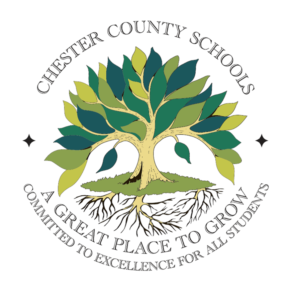 CCSD